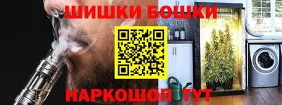 крисы Обь